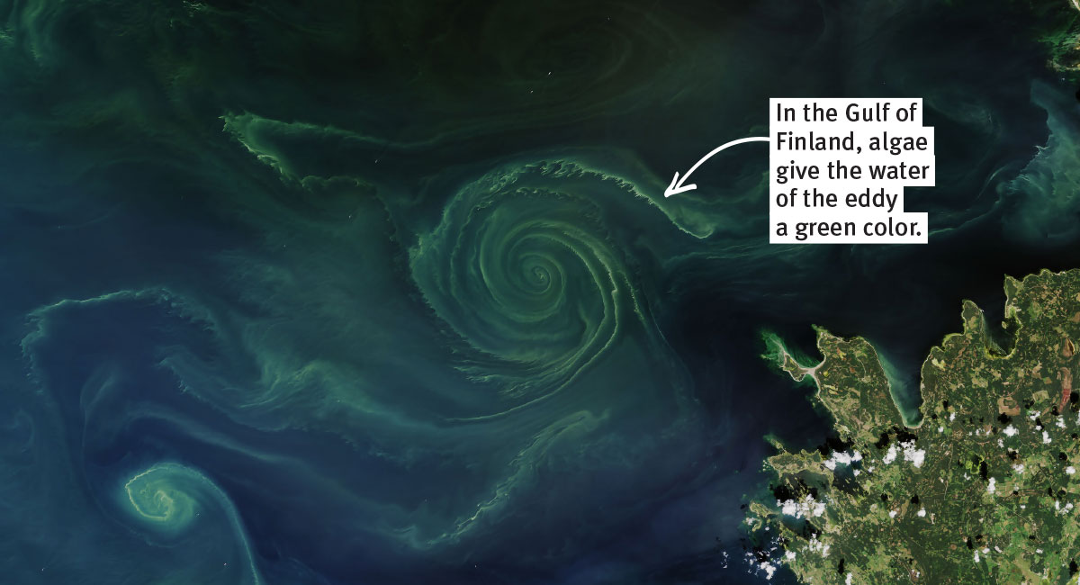 A green spiral shape in dark blue water