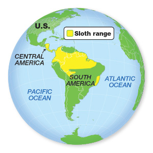 World map highlighting the sloth range in Central America