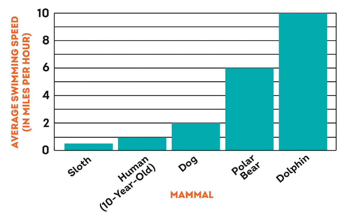 Bar graph showing the type of mammal and its average swimming speed represented in miles per hour
