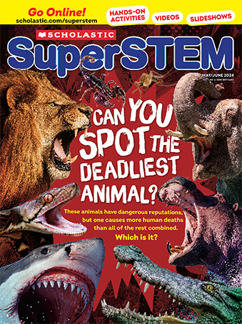 Magazine Issue Cover