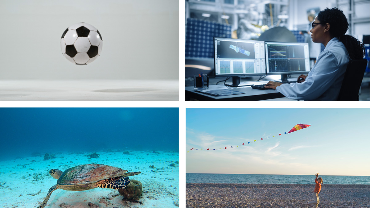 Four images: soccer ball, turtle underwater, person working at a desk & person flying kite on beach