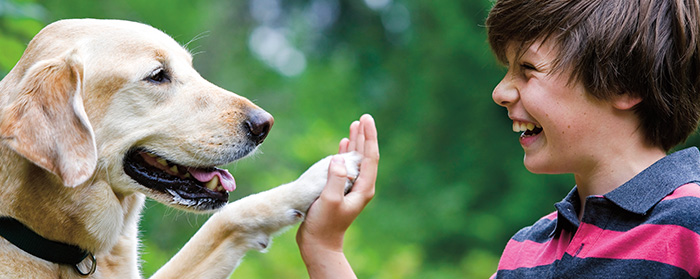 Image of a dog holding its paw up to the hand of a laughing kid
