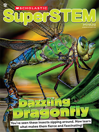 Magazine Issue Cover