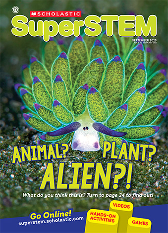 Magazine Issue Cover