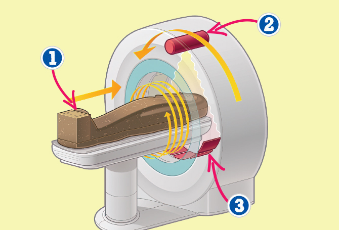 Illustrated diagram showing a mummy being placed inside a CT scanner